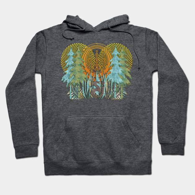 Mysterious Forest SCI String Cheese Incident Adventure Fun Festival Concert Trees Hoodie by Shayna